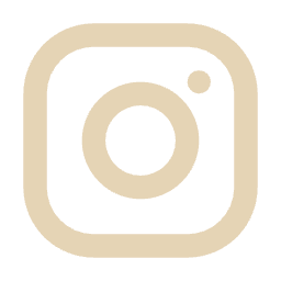 icon instagram